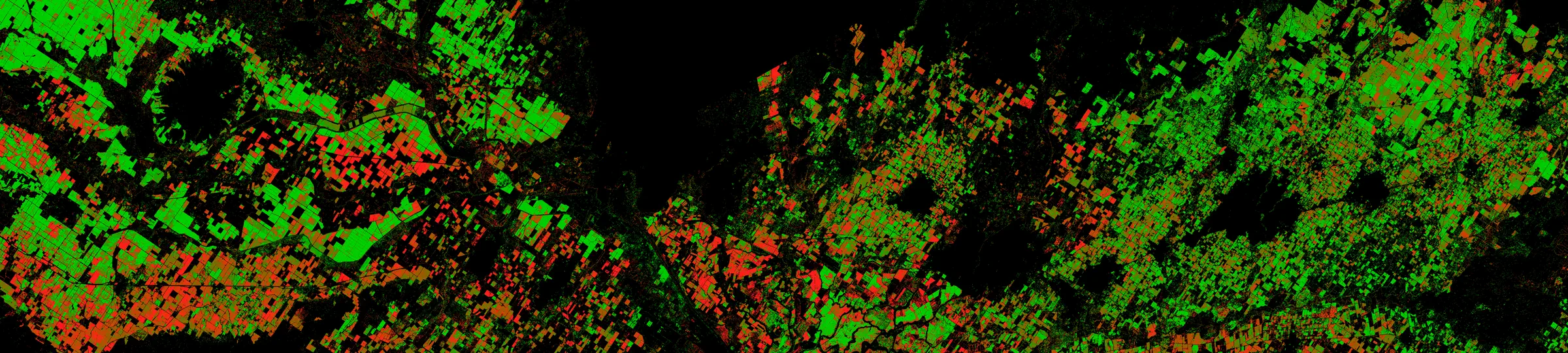 A wide false-colour banner of Central Valley farmland: thousands of rectangular field parcels rendered in bright green and red against black, forming a mosaic that follows the roads and river bends of the valley floor.