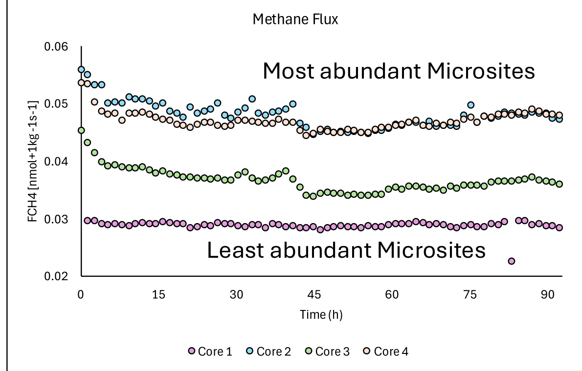 Methane flux versus time for Cores 1 to 4 over about 90 hours of incubation. All four cores hold positive values after the initial thaw transient.