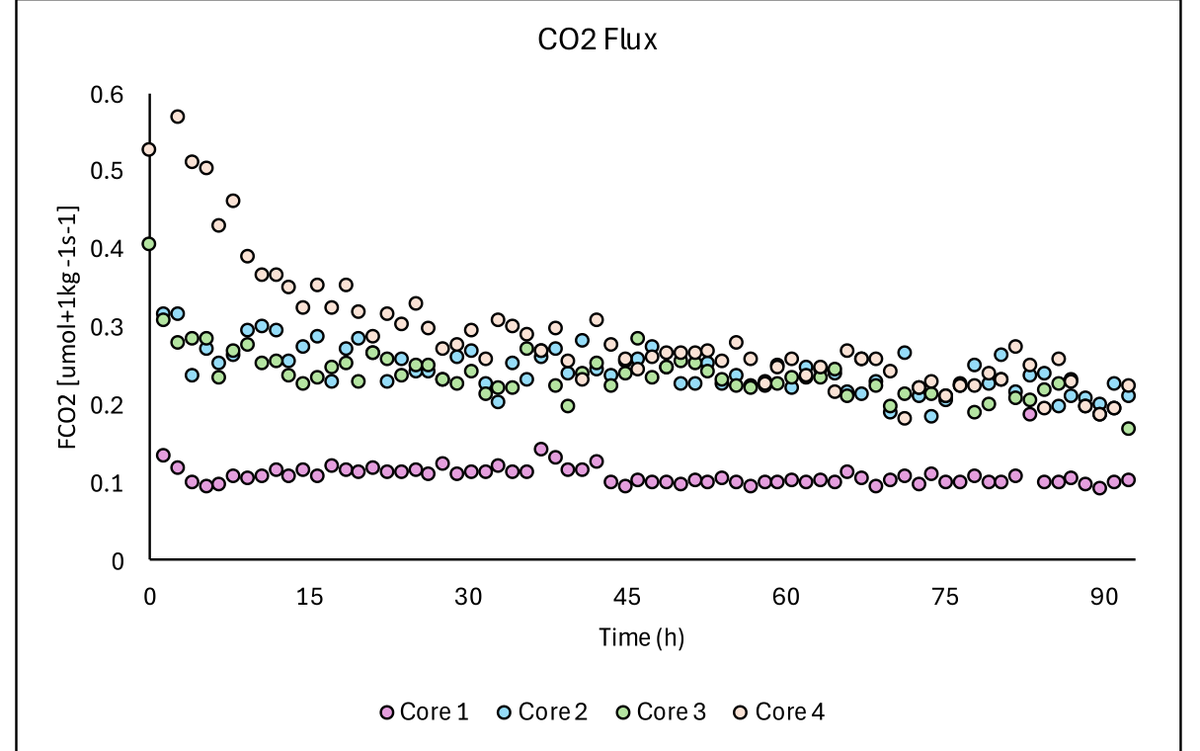 Carbon dioxide flux versus time for Cores 1 to 4 over about 90 hours of incubation. Core 4 starts highest and all four cores settle toward stable values after the thaw transient.