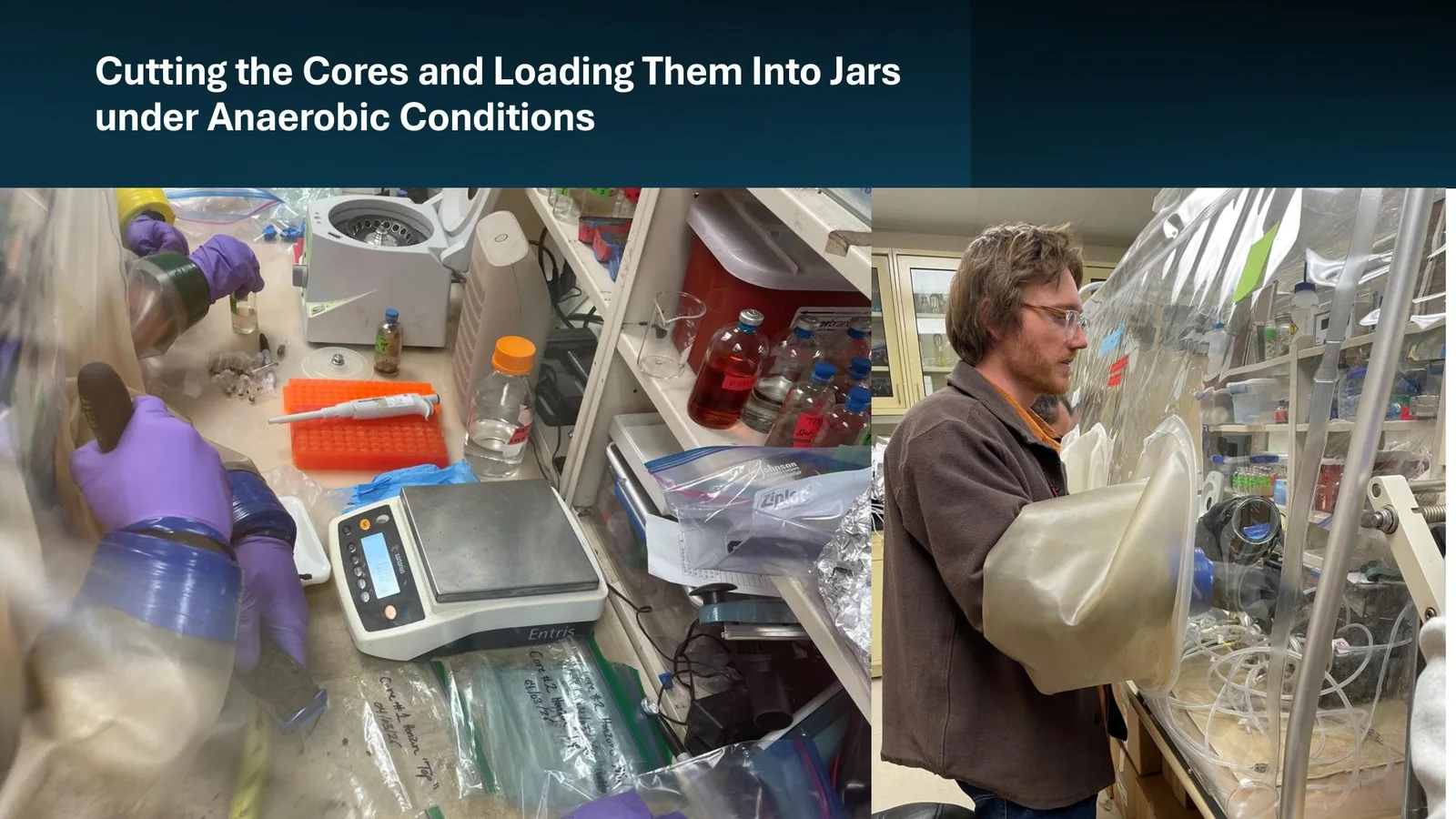 Two photographs of anaerobic core preparation inside an N2-filled glove bag: at left, gloved hands work over a balance with jars and labelled sample bags on the bench surface; at right, an operator reaches through the sleeve ports of the inflated glove bag.