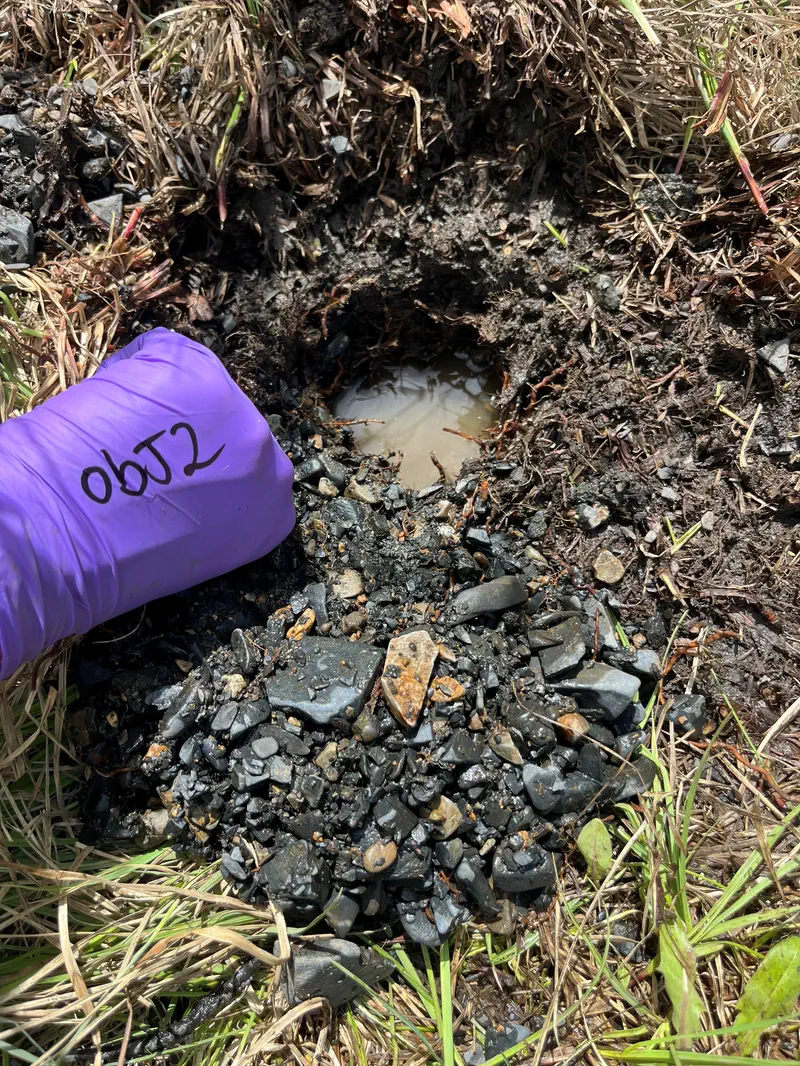 A gloved hand beside a small pit dug into stony meadow ground, with water standing in the bottom of the hole and excavated cobbles piled at its edge.