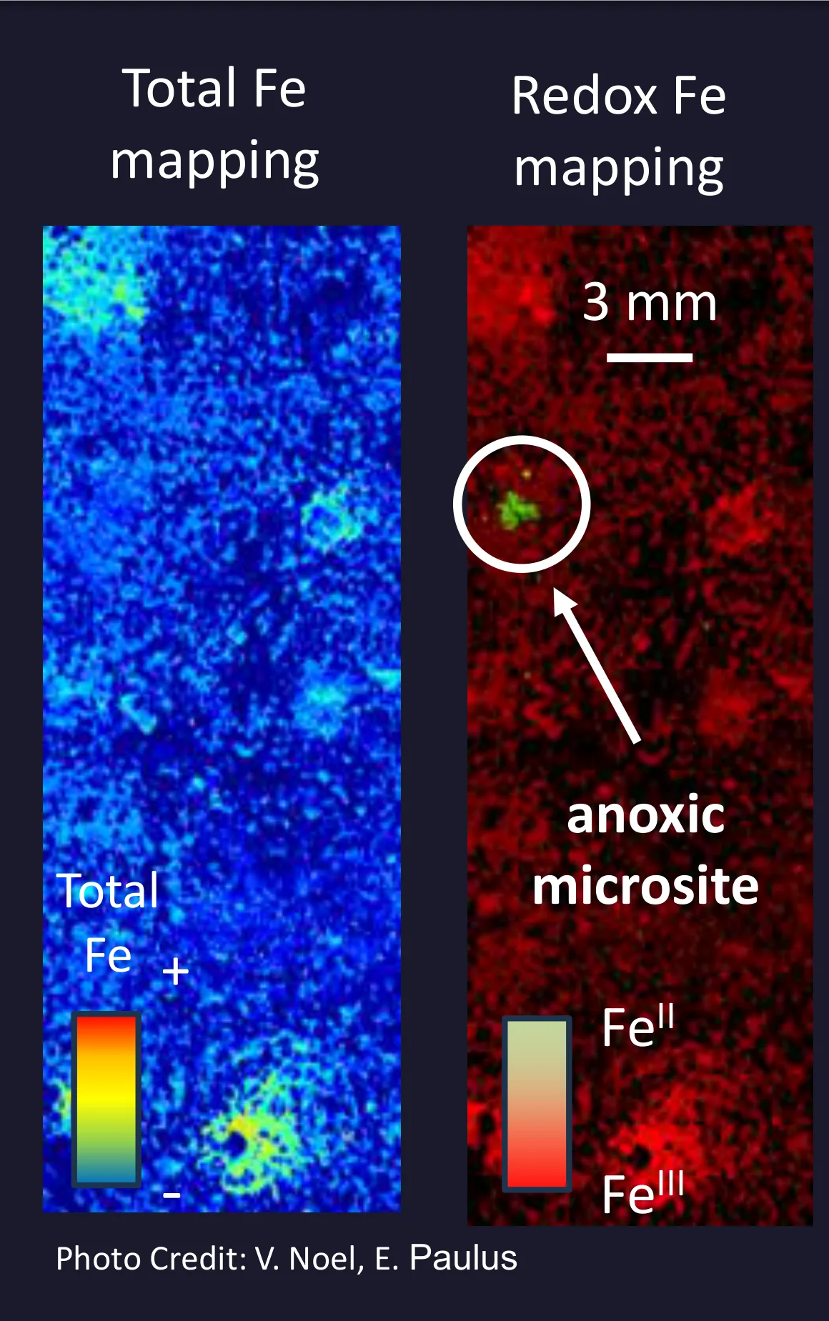 Synchrotron micro-X-ray fluorescence images of an intact soil core showing the distribution of Fe(II) and Fe(III).